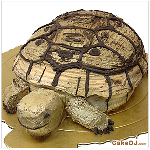 烏龜造型蛋糕
